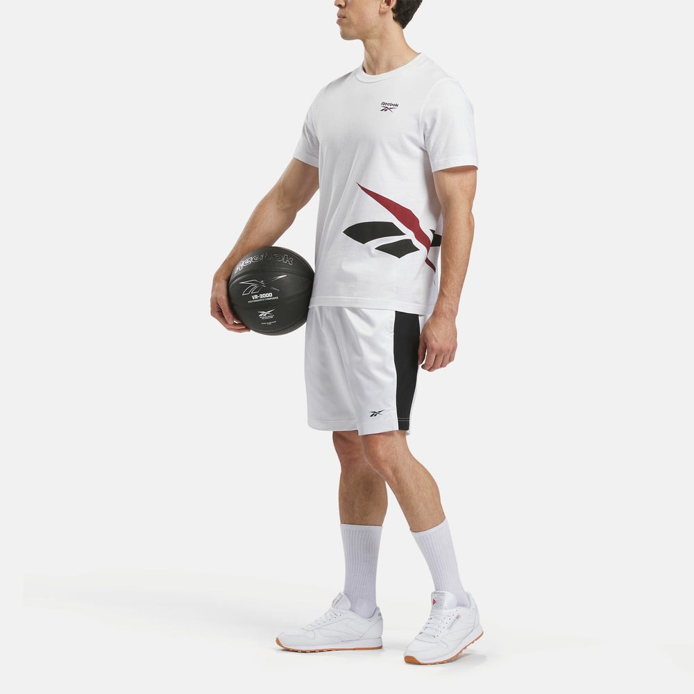 Basketball Satin and Mesh Shorts (2)