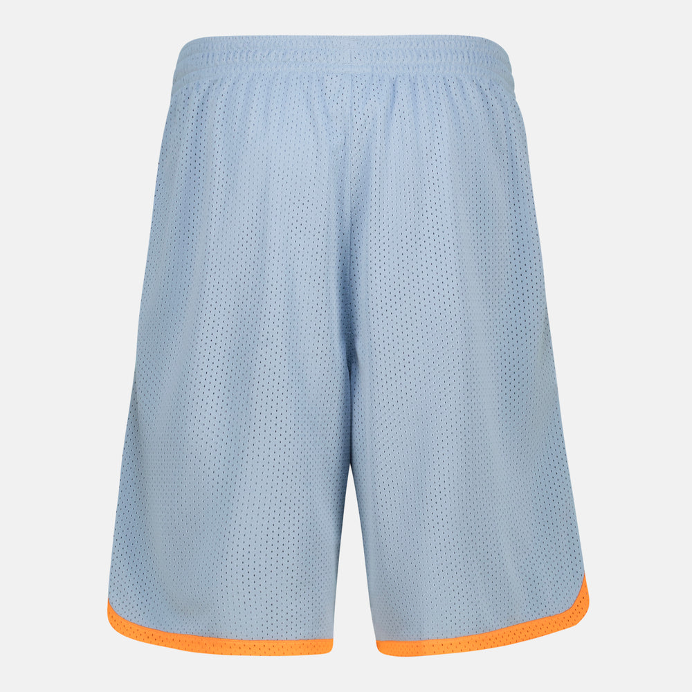 Basketball Mesh Shorts (3)