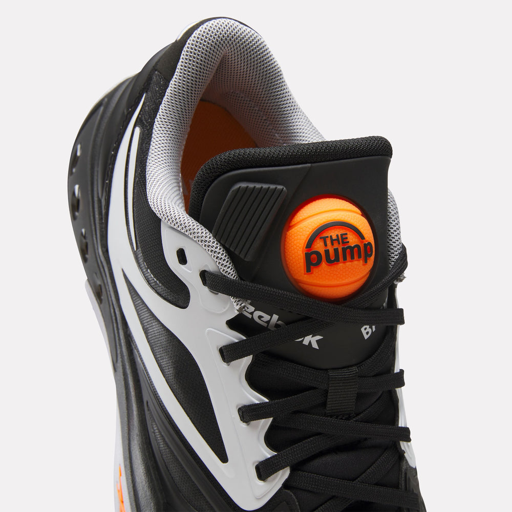 Engine A Pump Shoes