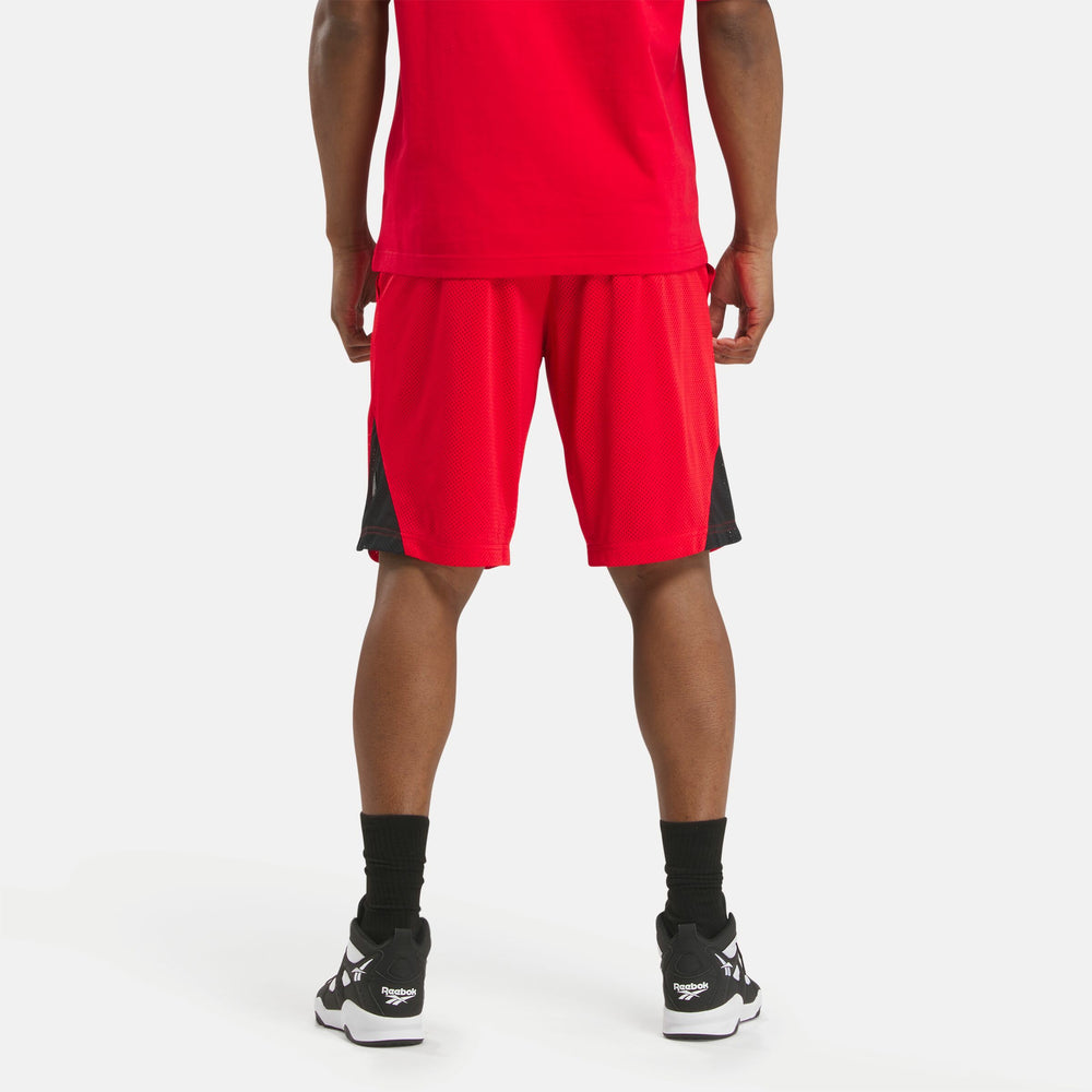 Above The Rim Hoopwear Shorts (1)