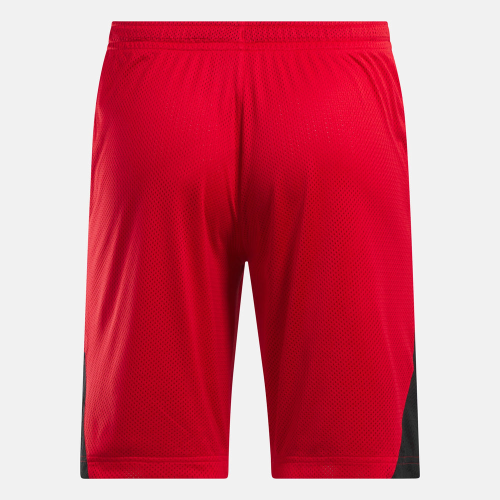 Above The Rim Hoopwear Shorts (4)