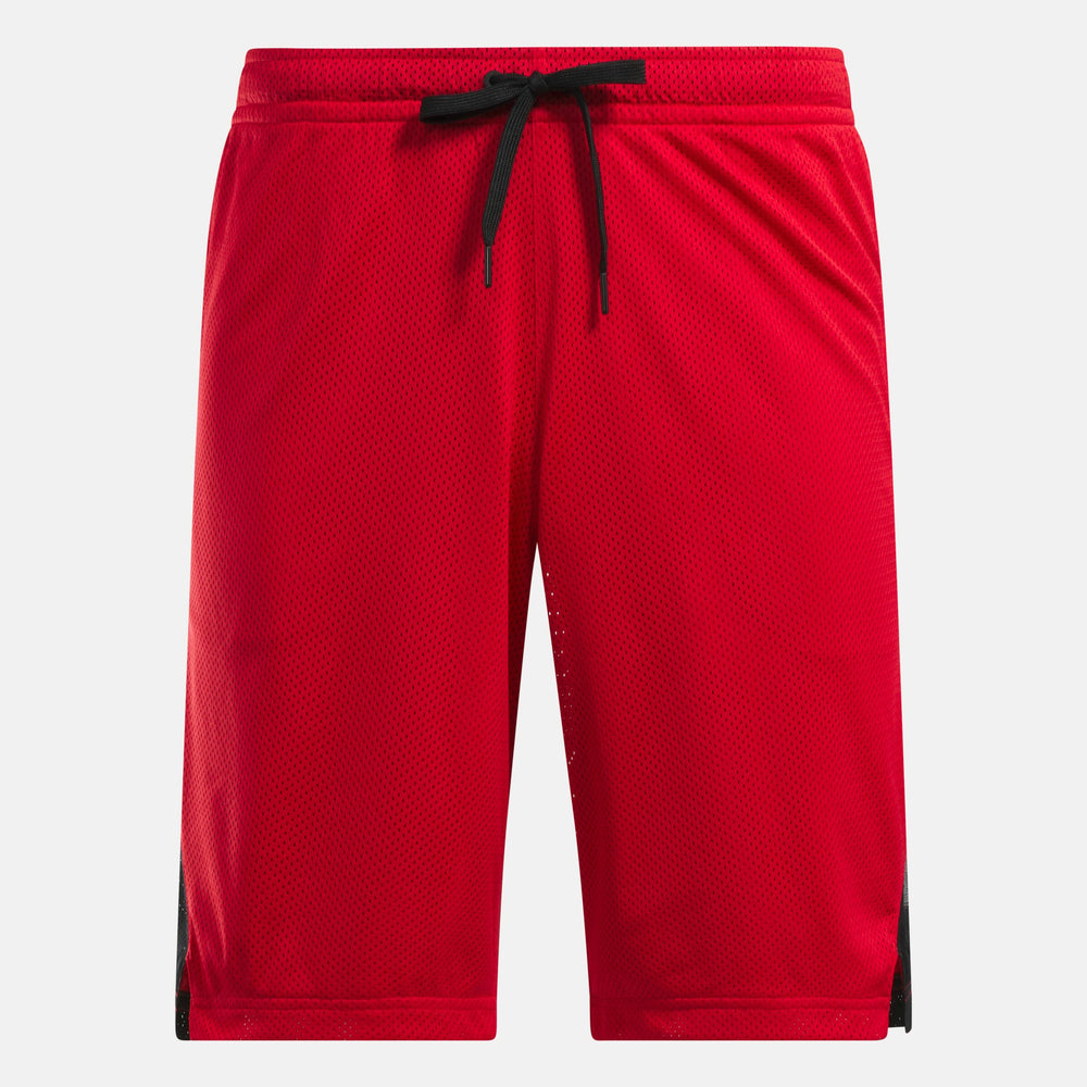 Above The Rim Hoopwear Shorts (3)